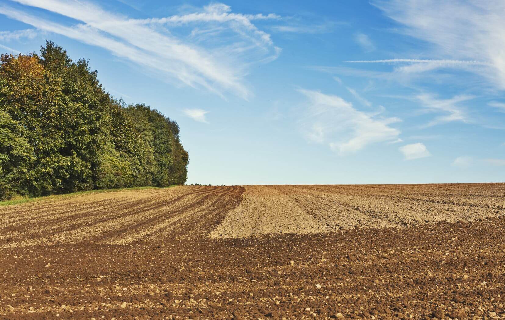 Agricultural Plot